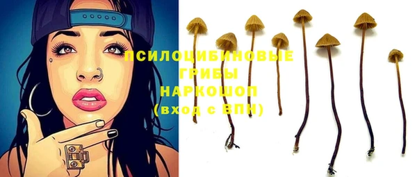 прущие грибы Армянск