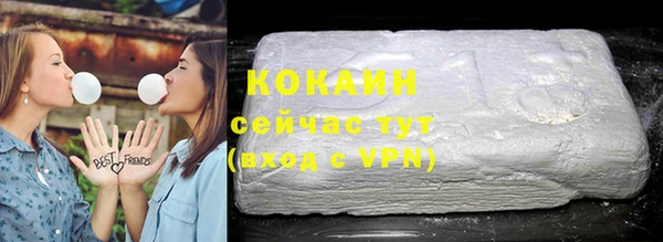 прущие грибы Армянск